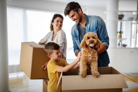Moving with Pets: Tips for Keeping Your Furry Friends Comfortable